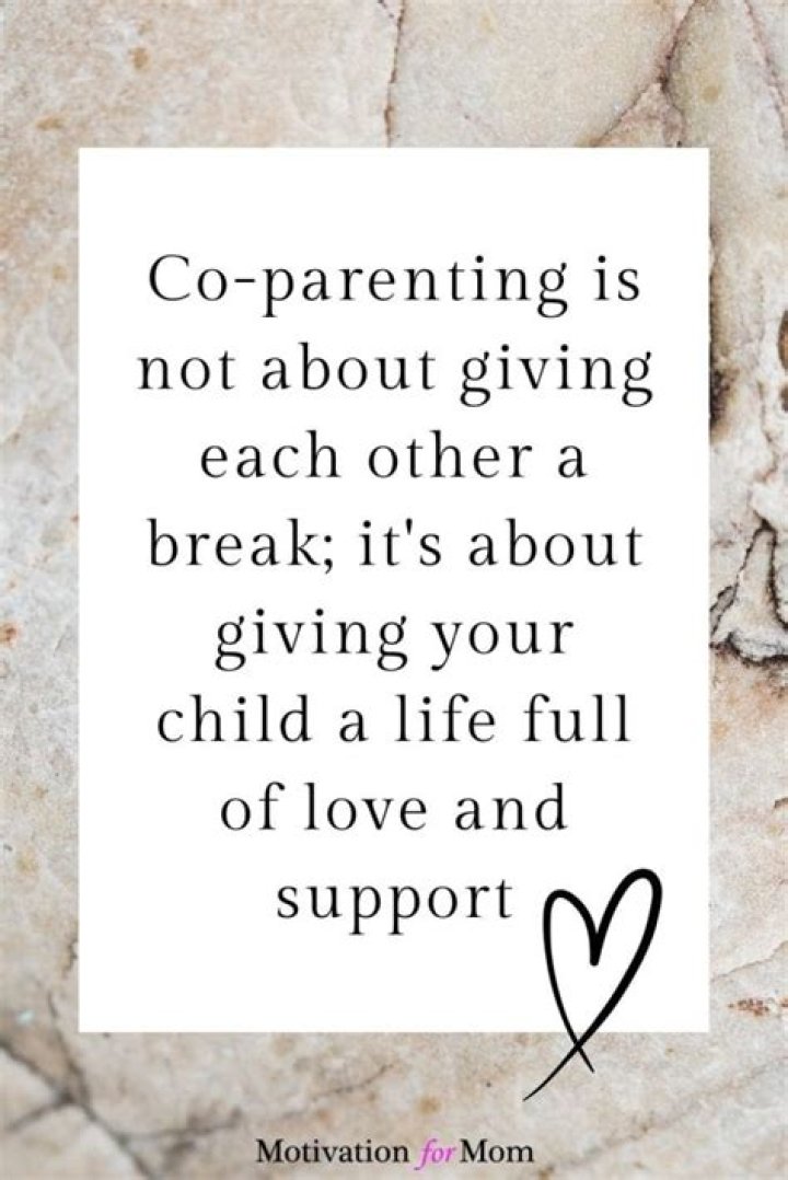 A Journey Of Love, Co-Parenting, And Resilience