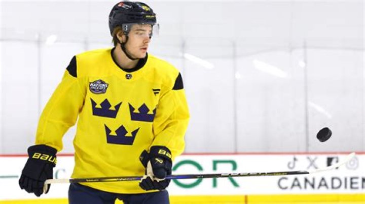 A Promising Star On The Rise
