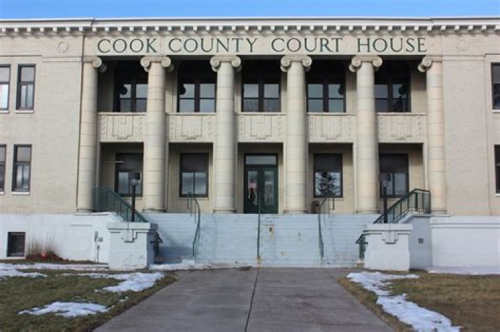 Dana Abdelhalim's Transformative Work In Cook County