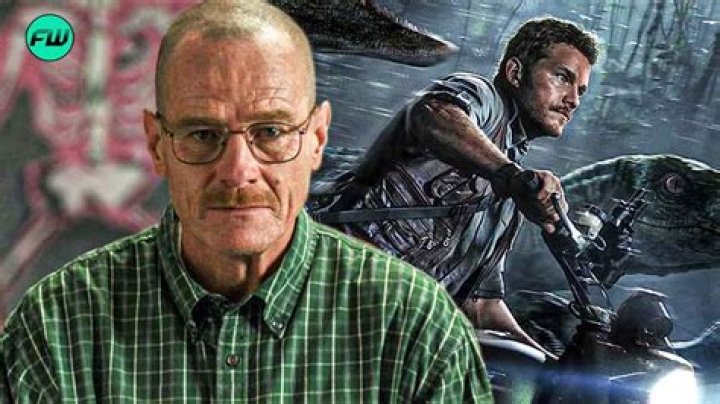 How Much Is the Breaking Bad Star Worth in 2023? |