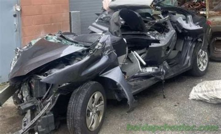 Kelsey Grennan Car Accident and Injury Update (2023) |