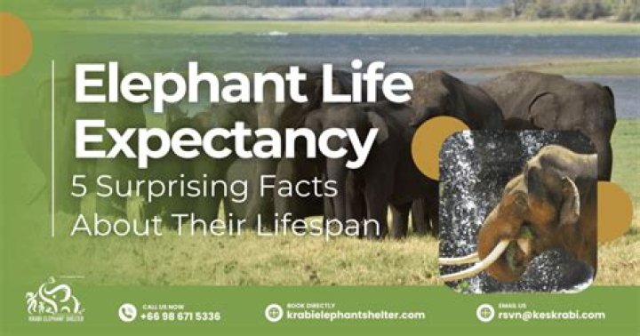 Surprising Facts And Insights Revealed