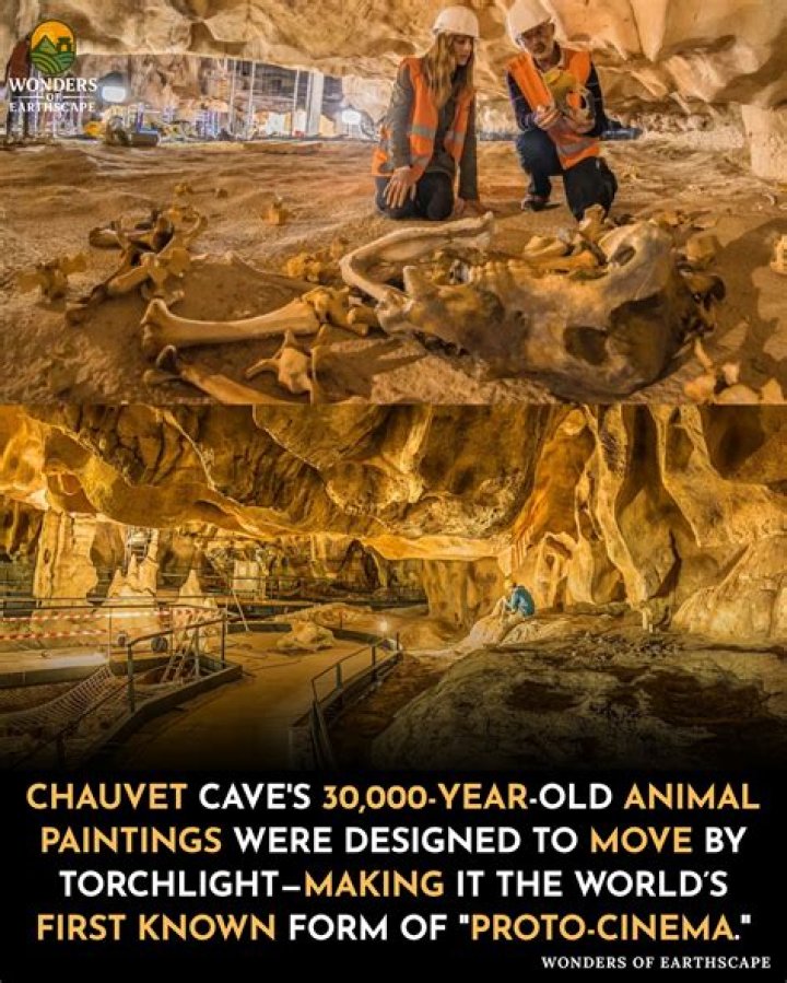Uncovered Insights And Compelling Discoveries