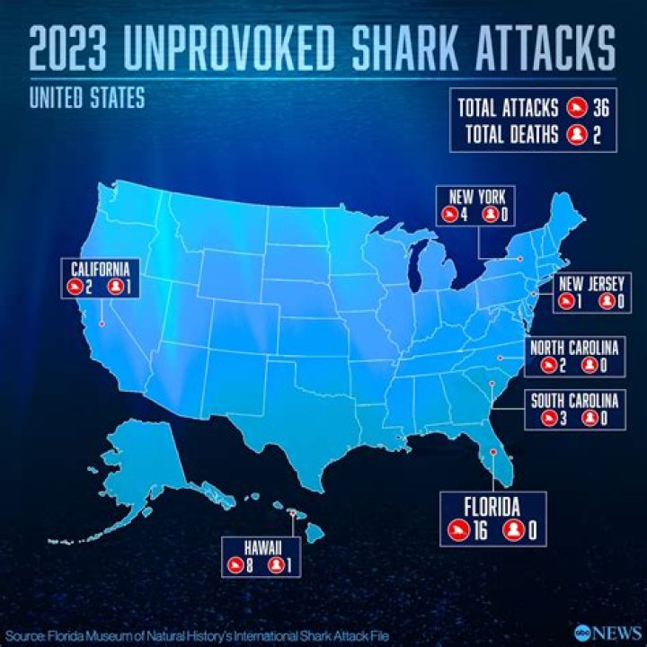 Unlocking The Secrets Of Shark Attacks In Myrtle Beach 2023