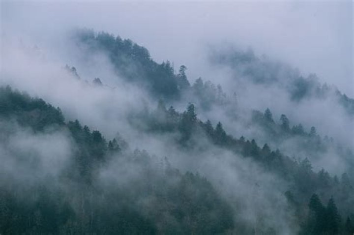Unveiling The Enigmatic Appalachian Mountains: Discoveries And Insights Await