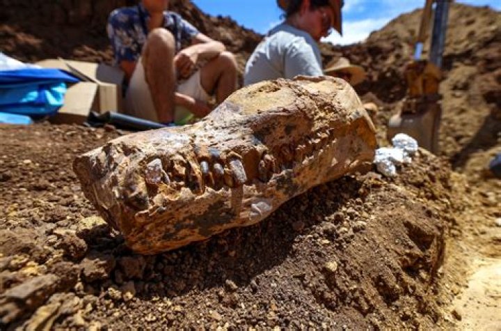 Unveiling The Horrors Of "Unlimited Genocide On The 1st World": Discoveries And Insights