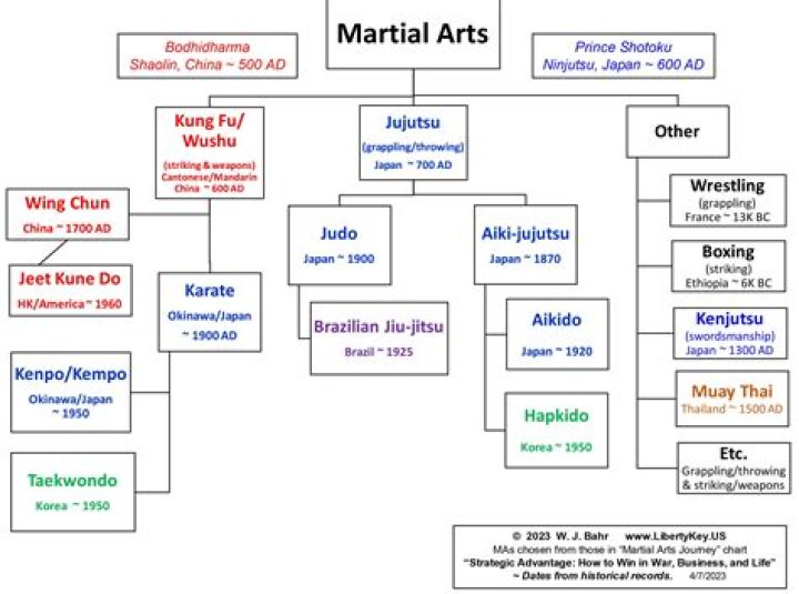 Unveiling The Martial Arts Master's Current Journey