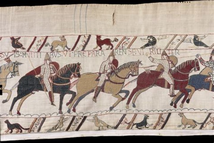 Unveiling The Tapestry Of Nationality And Ethnicity
